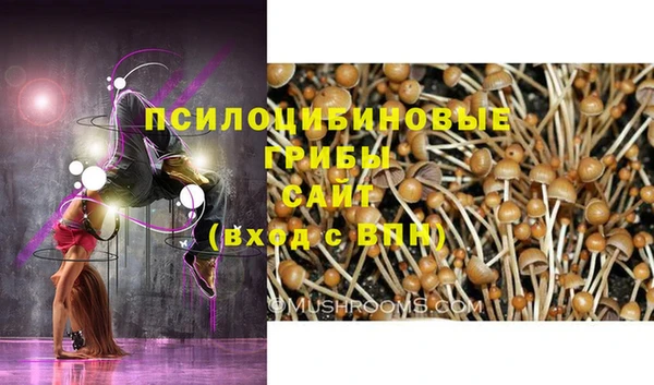 мяу мяу мука Арсеньев