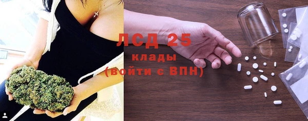spice Аркадак