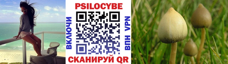Галлюциногенные грибы мухоморы  где купить   Пошехонье 